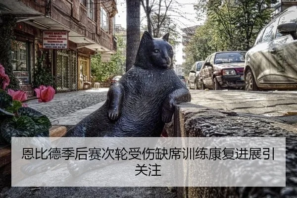 en-bi-de-ji-hou-sai-ci-lun-shou-shang-que-xi-xun-lian-kang-fu-jin-zhan-yin-guan-zhu-2-321.jpg