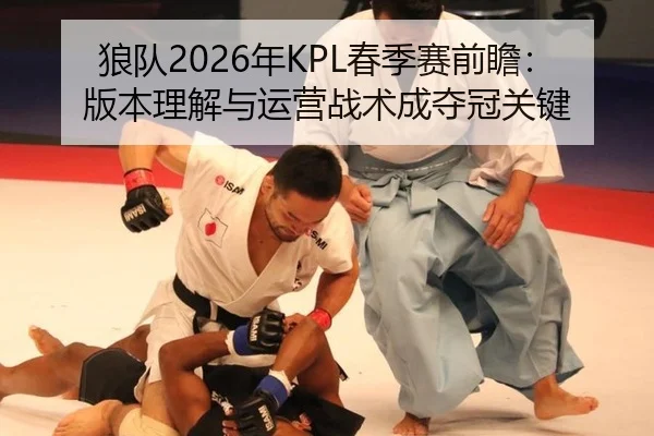 lang-dui-nian-chun-ji-sai-qian-zhan-ban-ben-li-jie-yu-yun-ying-zhan-shu-cheng-duo-guan-guan-jian-2-343.jpg
