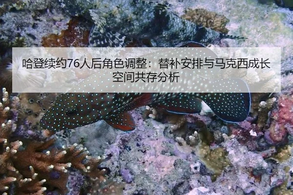 ha-deng-xu-yue-ren-hou-jue-se-tiao-zheng-ti-bu-an-pai-yu-ma-ke-xi-cheng-zhang-kong-jian-gong-cun-fen-xi-1-356.jpg